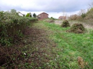 Cardiff Conservation Volunteers 2