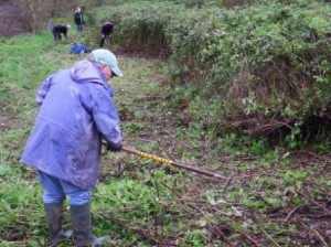 Cardiff Conservation Volunteers 4